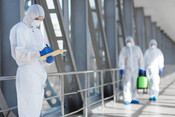 Best Mold Damage Restoration  in Union City, PA